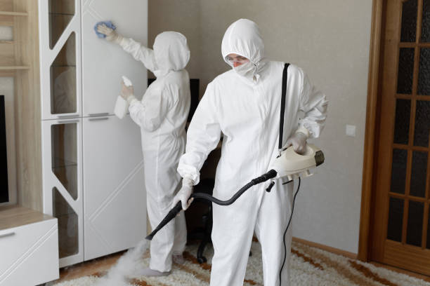 24/7 Emergency Odor Removal experts in Dunlap, IL